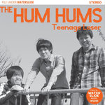 The Hum Hums