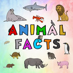 Animal Facts