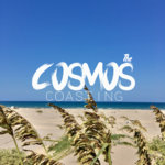 The Cosmos