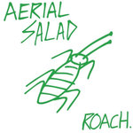 Aerial Salad