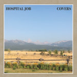 Hospital Job