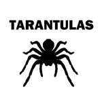 Tarantulas