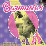 Barmudas