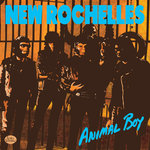 The New Rochelles