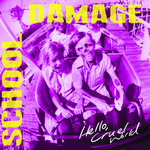 School Damage
