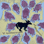 The Transgressions
