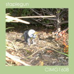 Staplegun