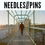 NEEDLES//PINS