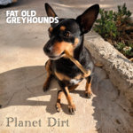 Fat Old Greyhounds