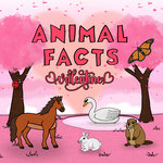 Animal Facts